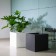 Pot square Kube with water white and black Euro3Plast Jardinchic