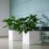 Pot square Kube with water white Euro3Plast Jardinchic