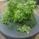 Pot Ming Large Gris Anthracite Détail Serralunga JardinChic