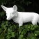 Statue Renard Blanc TexArtes Jardinchic