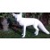 Statue Renard Blanc TexArtes Jardinchic