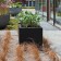 Pot Cube Acier Noir Domani JardinChic