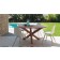 Lot de 2 Chaise de Repas Bridge Talenti Jardinchic