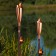 Torches Pisa En Cuivre Et Bois Naturel Aristo JardinChic