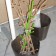 Guardian 2 elements Tutrix atmosphere Pots Az & Mut JardinChic